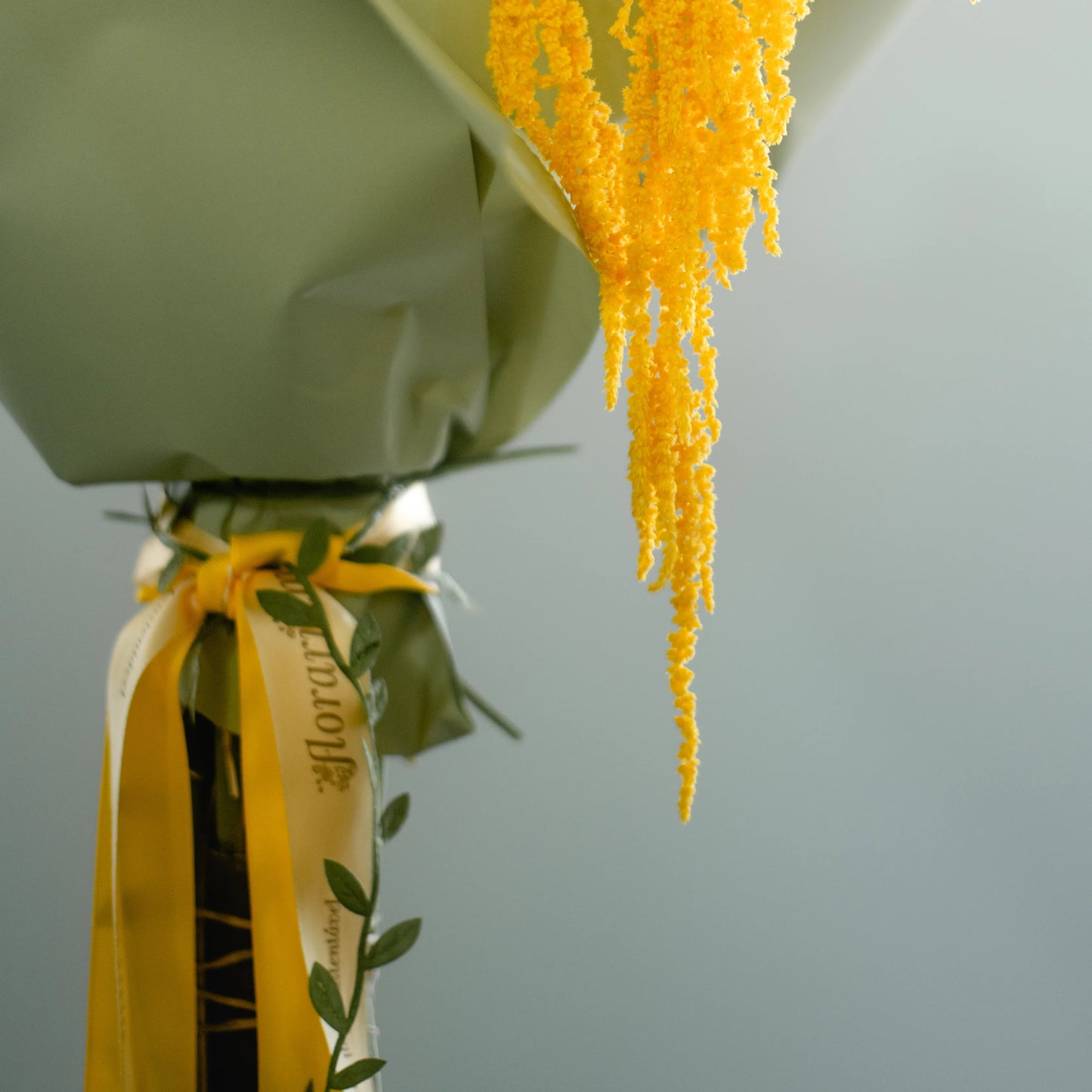 Ramo "Energia da Manhã Ensolarada"