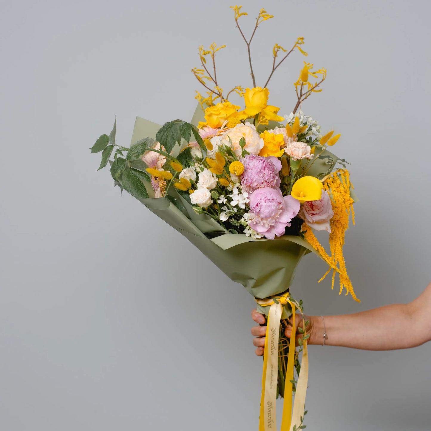 Ramo "Energia da Manhã Ensolarada"