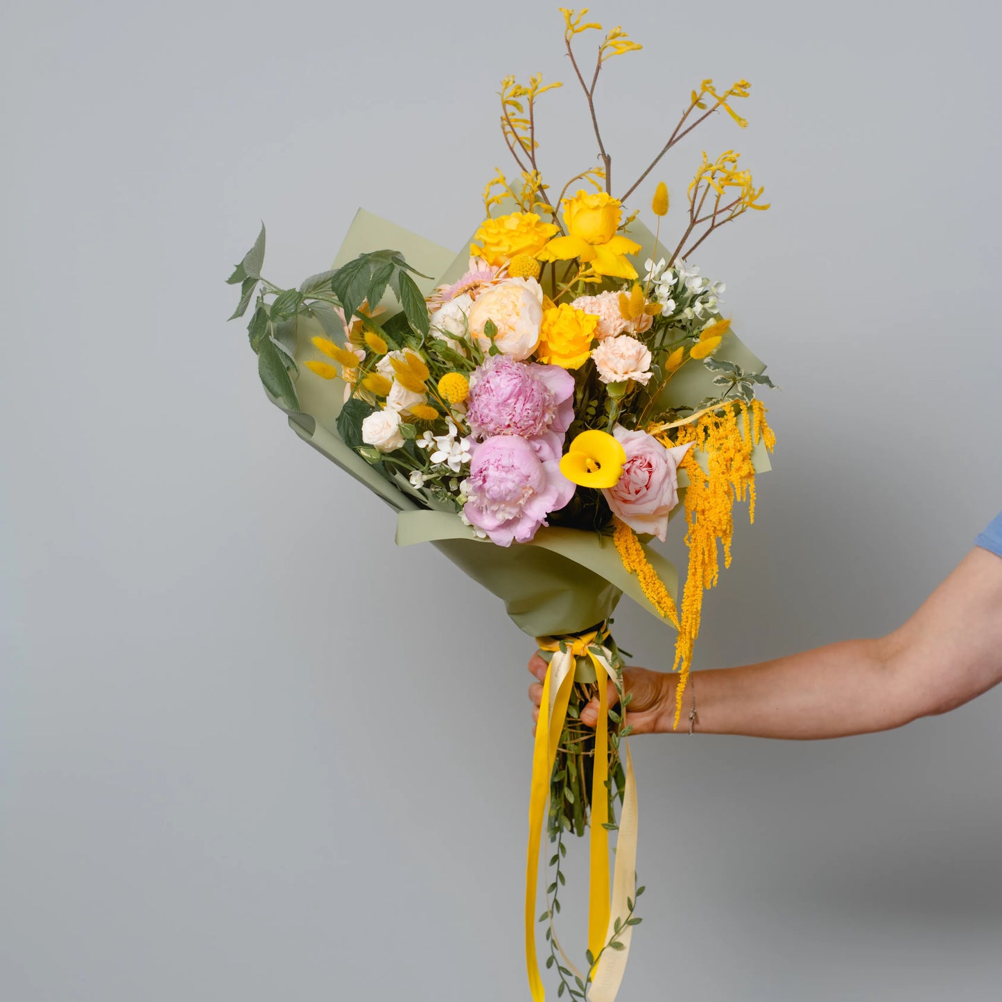 Ramo "Energia da Manhã Ensolarada"