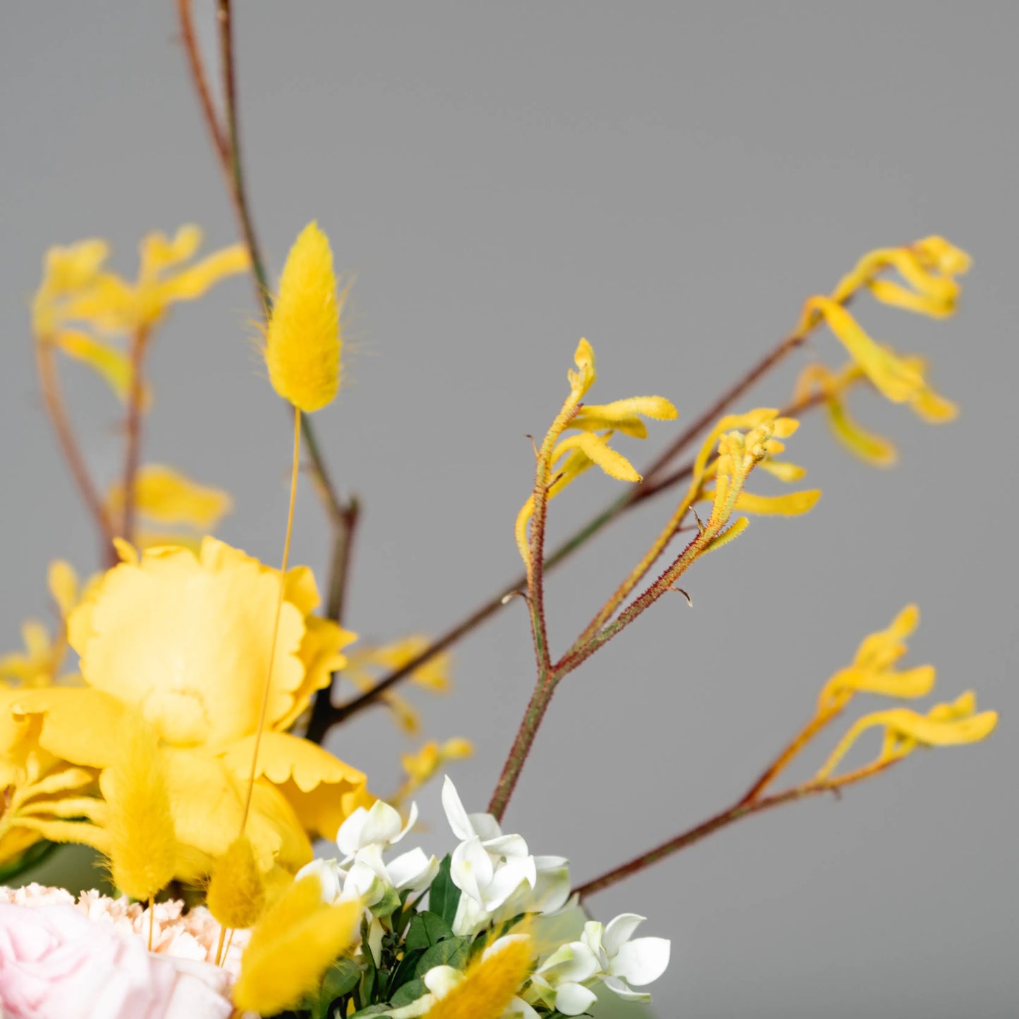 Ramo "Energia da Manhã Ensolarada"