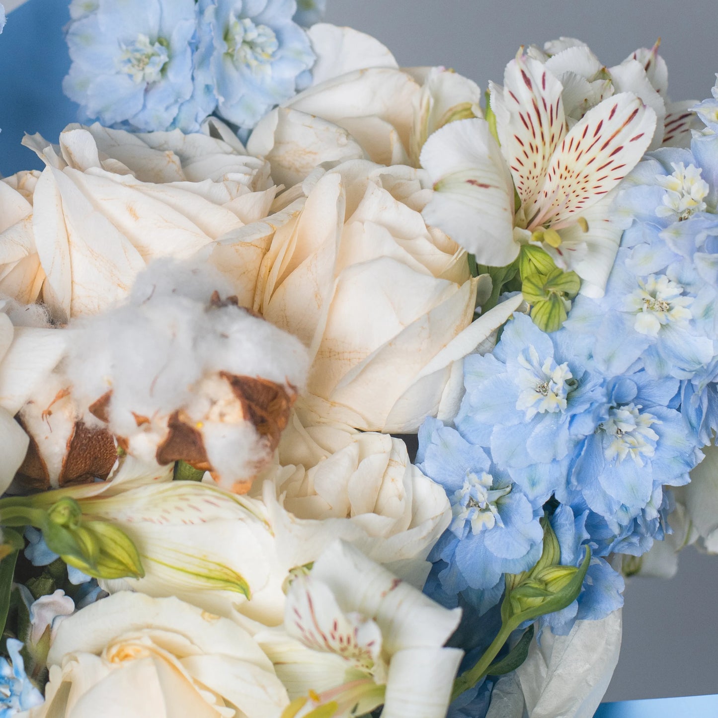 Ramo "Espuma do Mar"