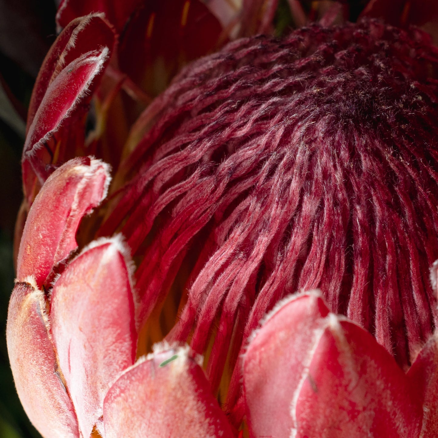 "Style and Courage" Branch