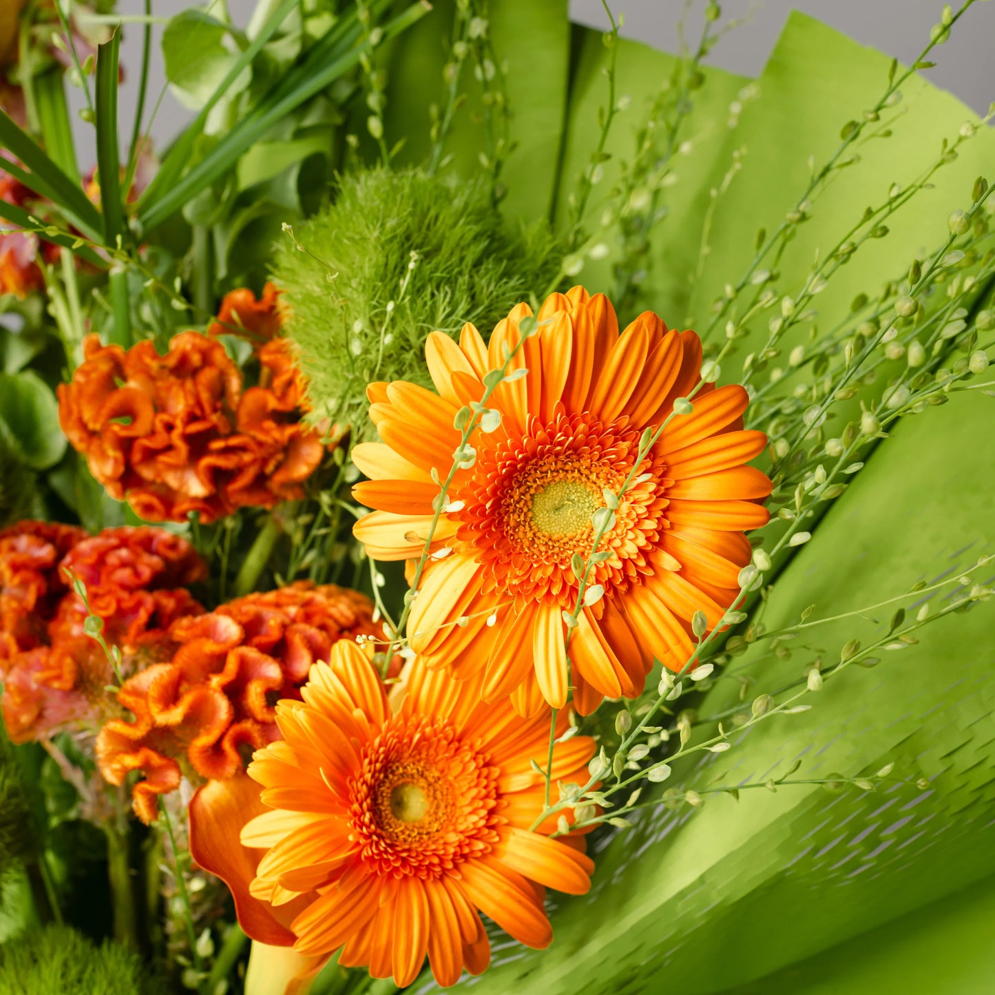 Ramo "Explosão de Energia"