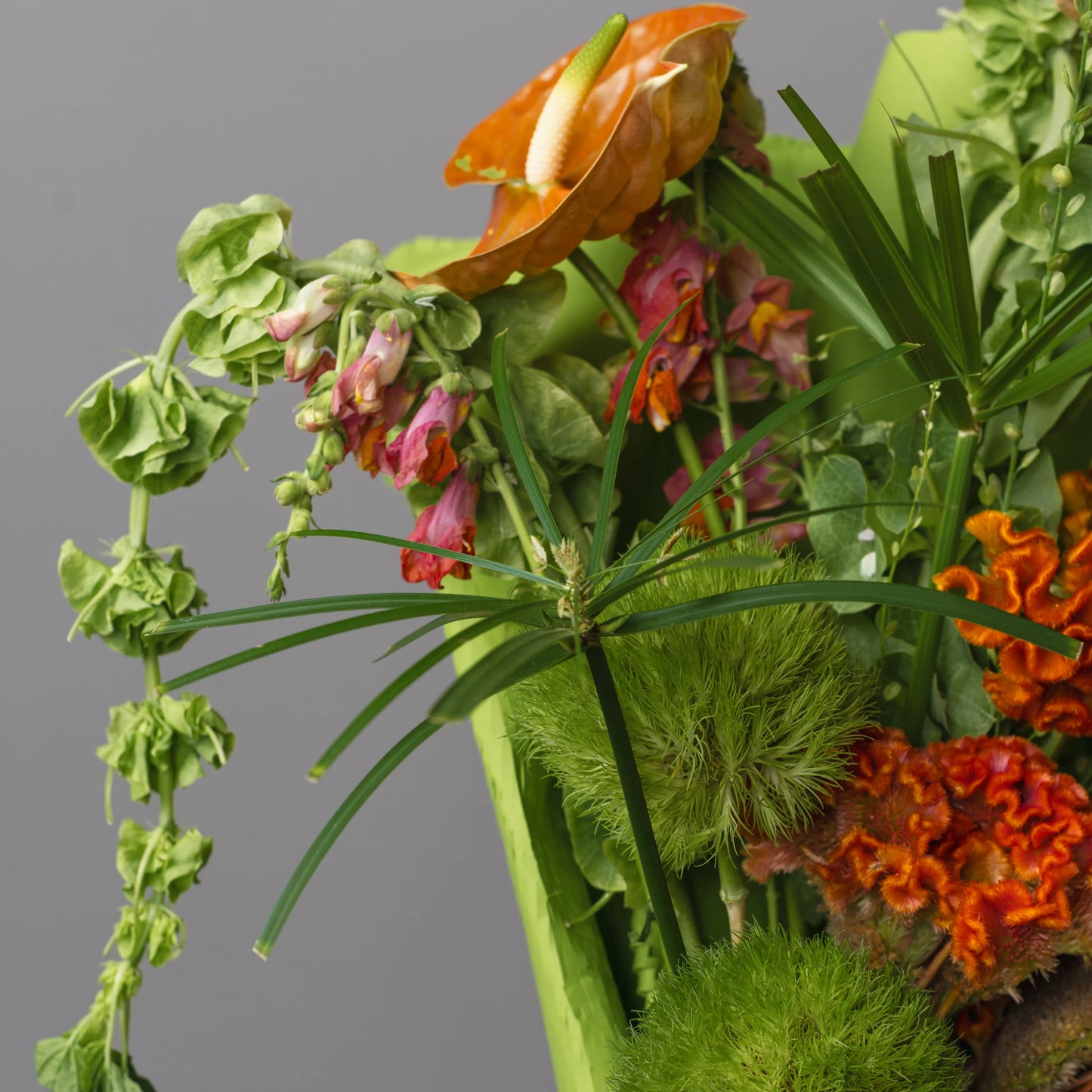 Ramo "Explosão de Energia"