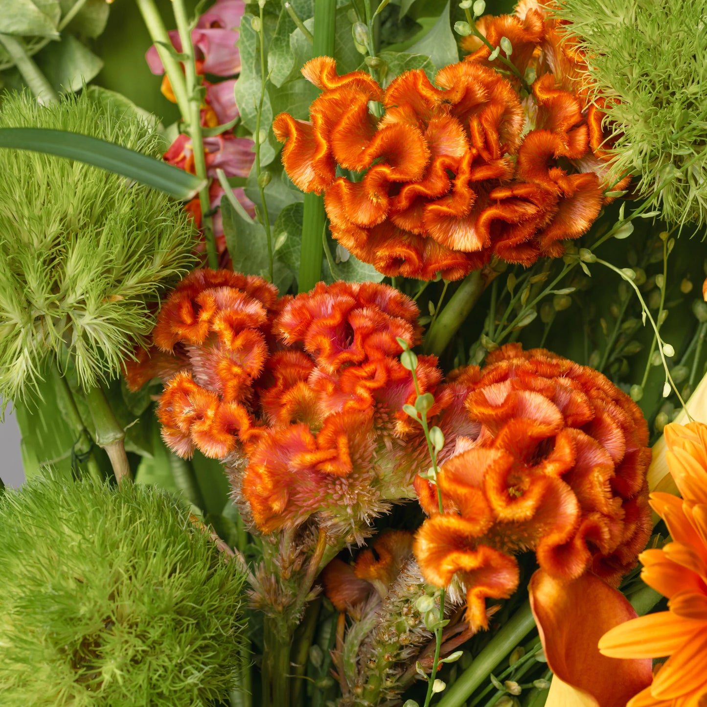 Ramo "Explosão de Energia"