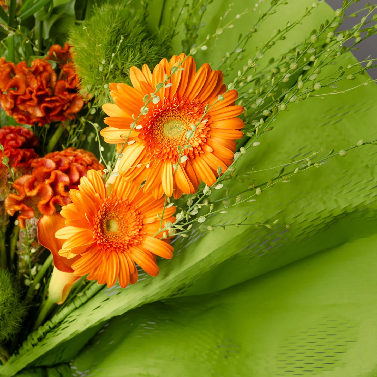 Ramo "Explosão de Energia"