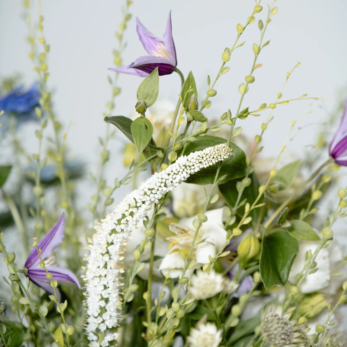 Ramo "Fantasia Campestre"