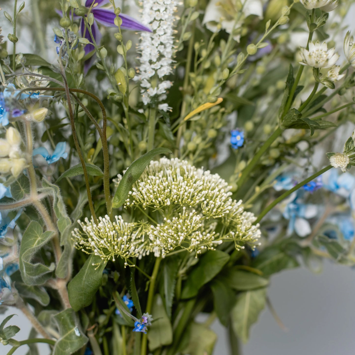 Ramo "Fantasia Campestre"