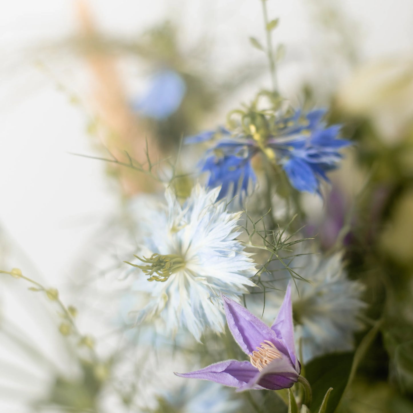 Ramo "Fantasia Campestre"