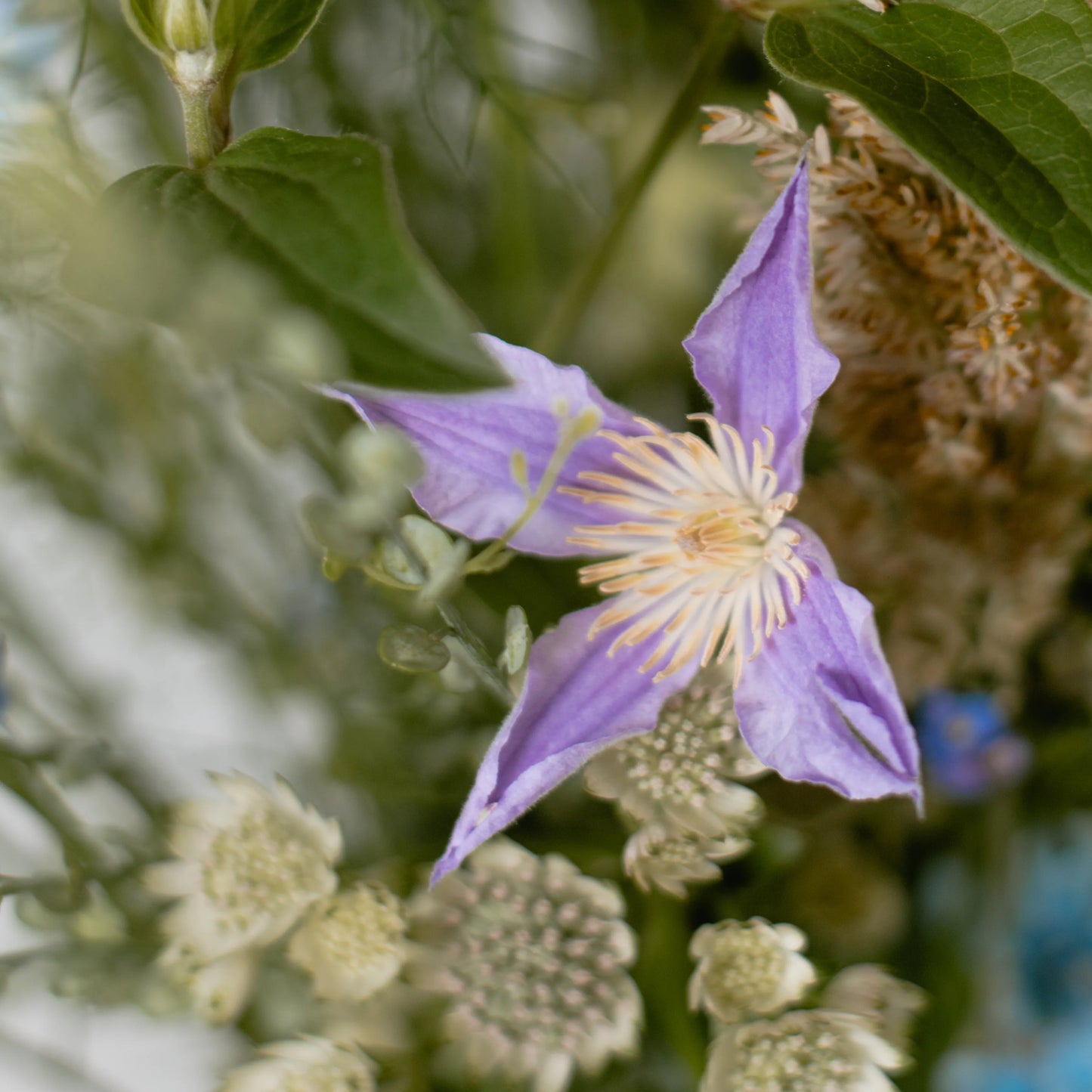 Ramo "Fantasia Campestre"