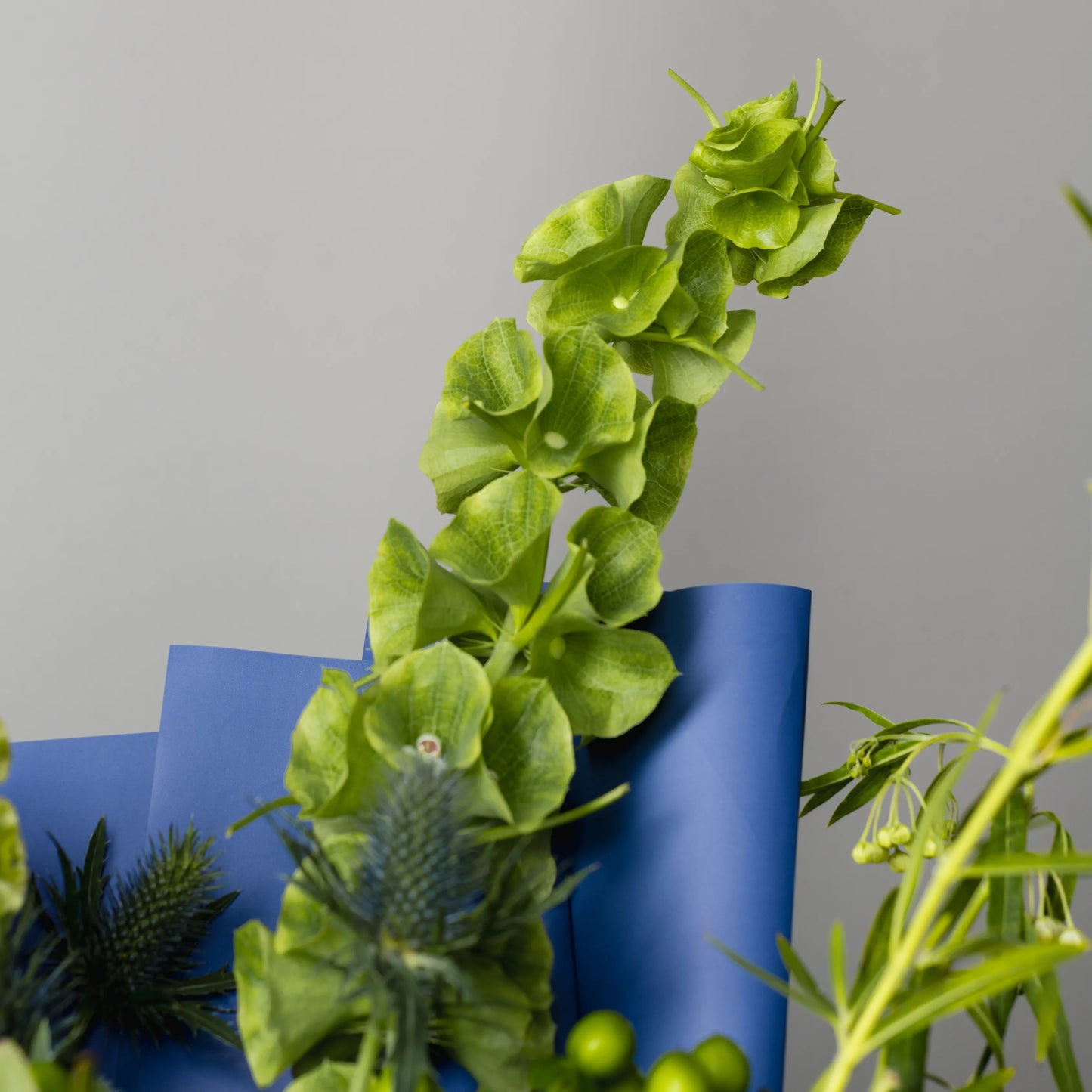 "Force of Nature" Branch