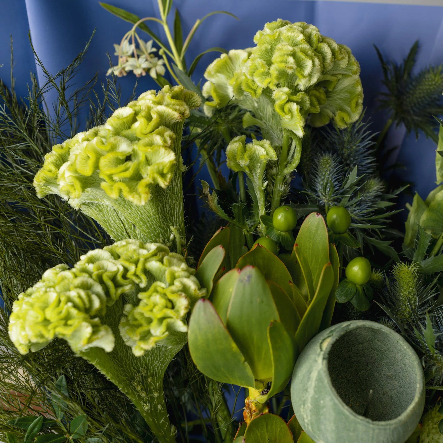 "Force of Nature" Branch