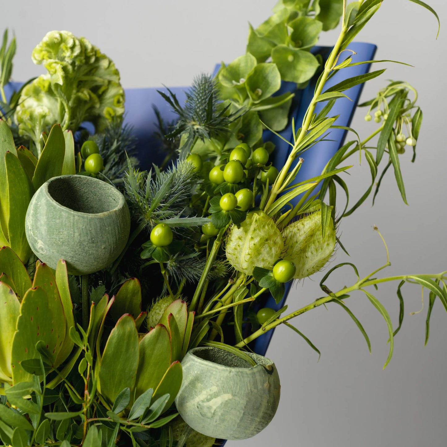 "Force of Nature" Branch