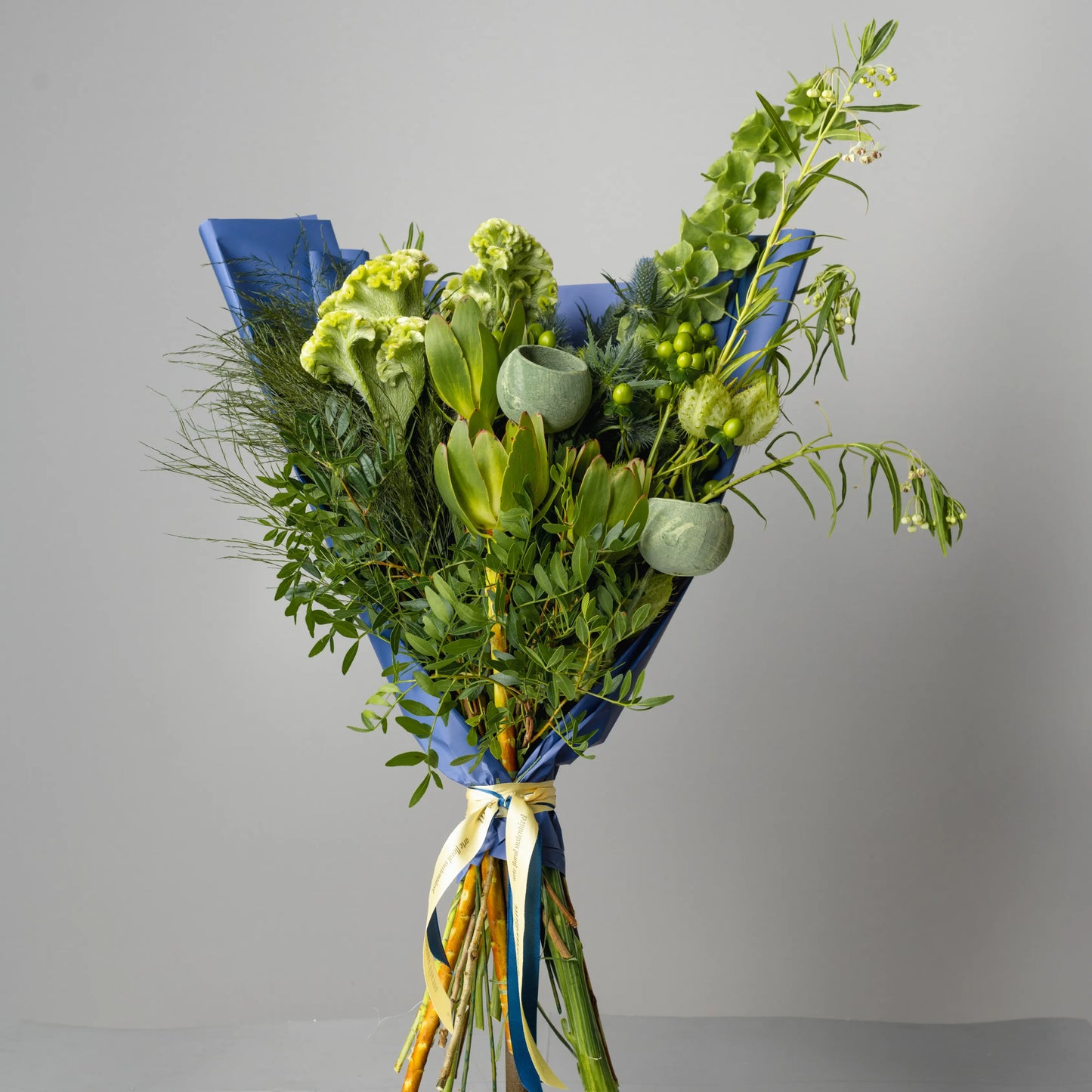 "Force of Nature" Branch