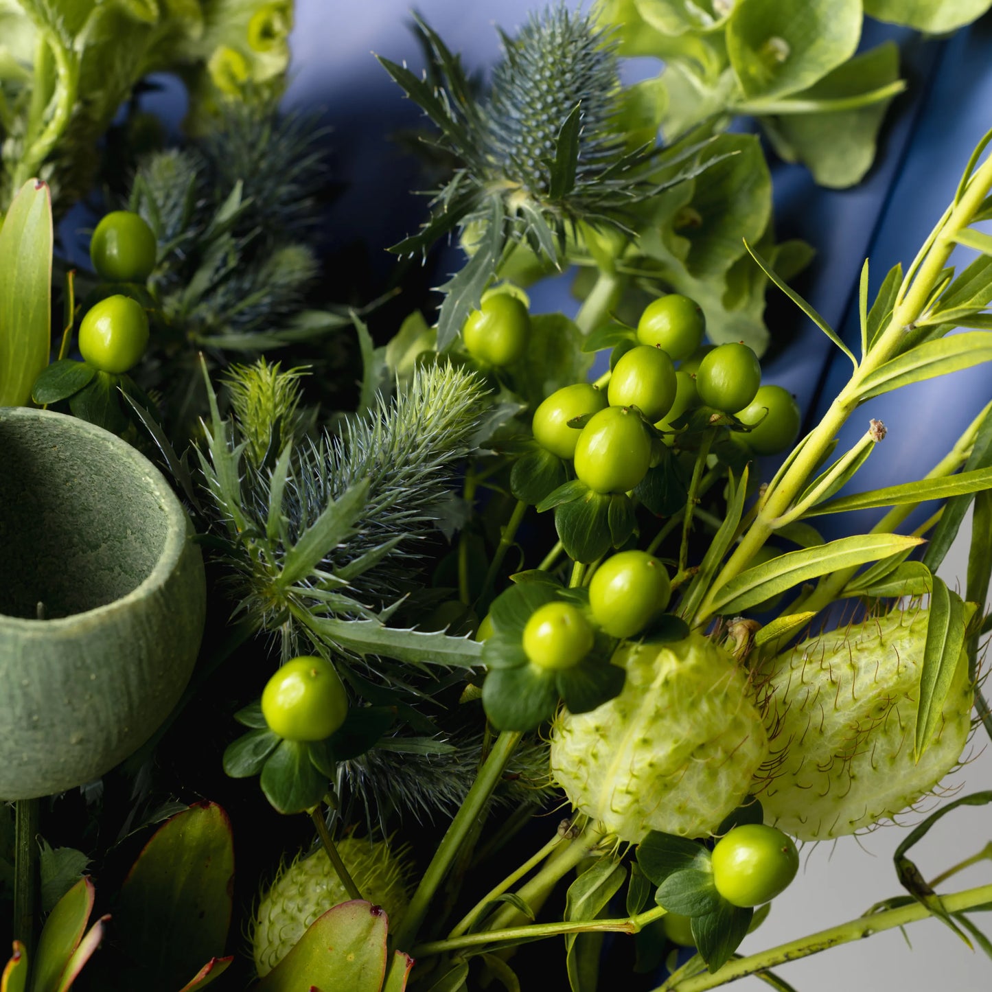 "Force of Nature" Branch