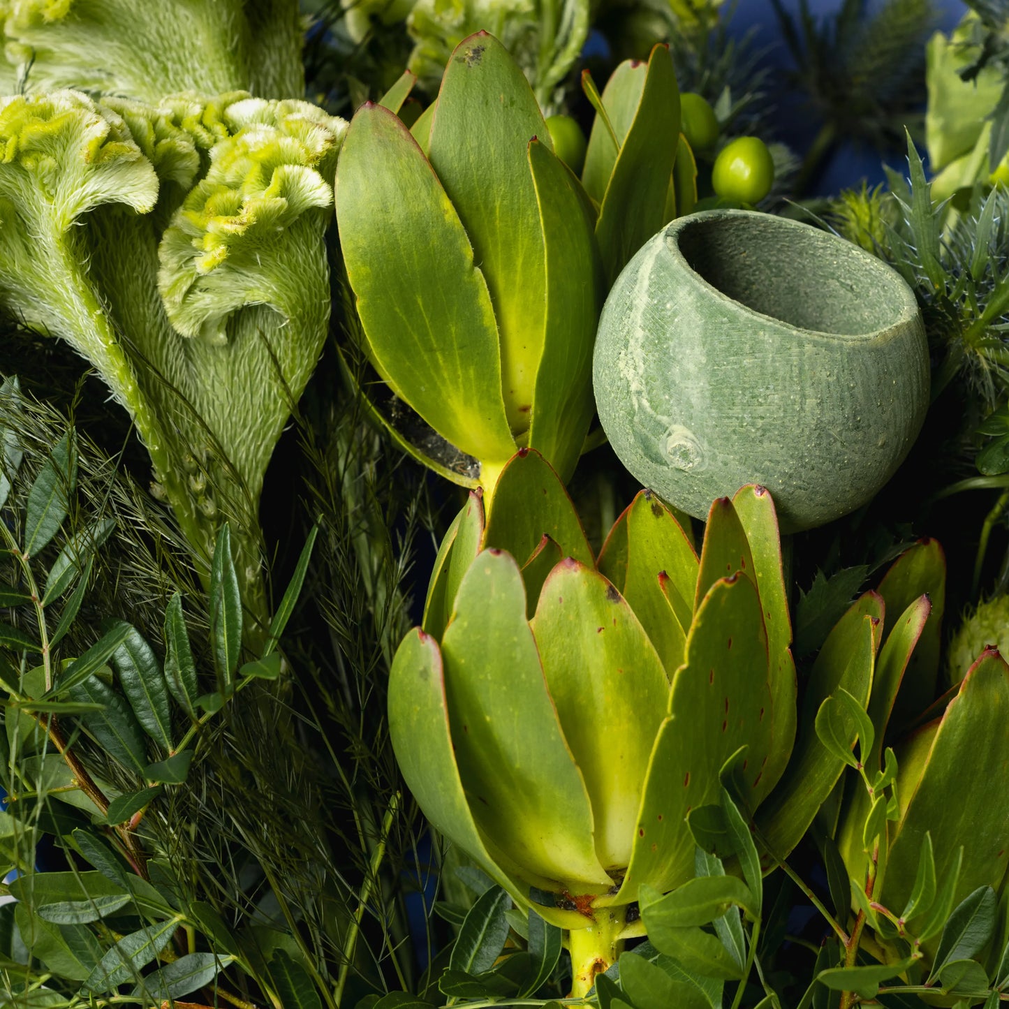 "Force of Nature" Branch