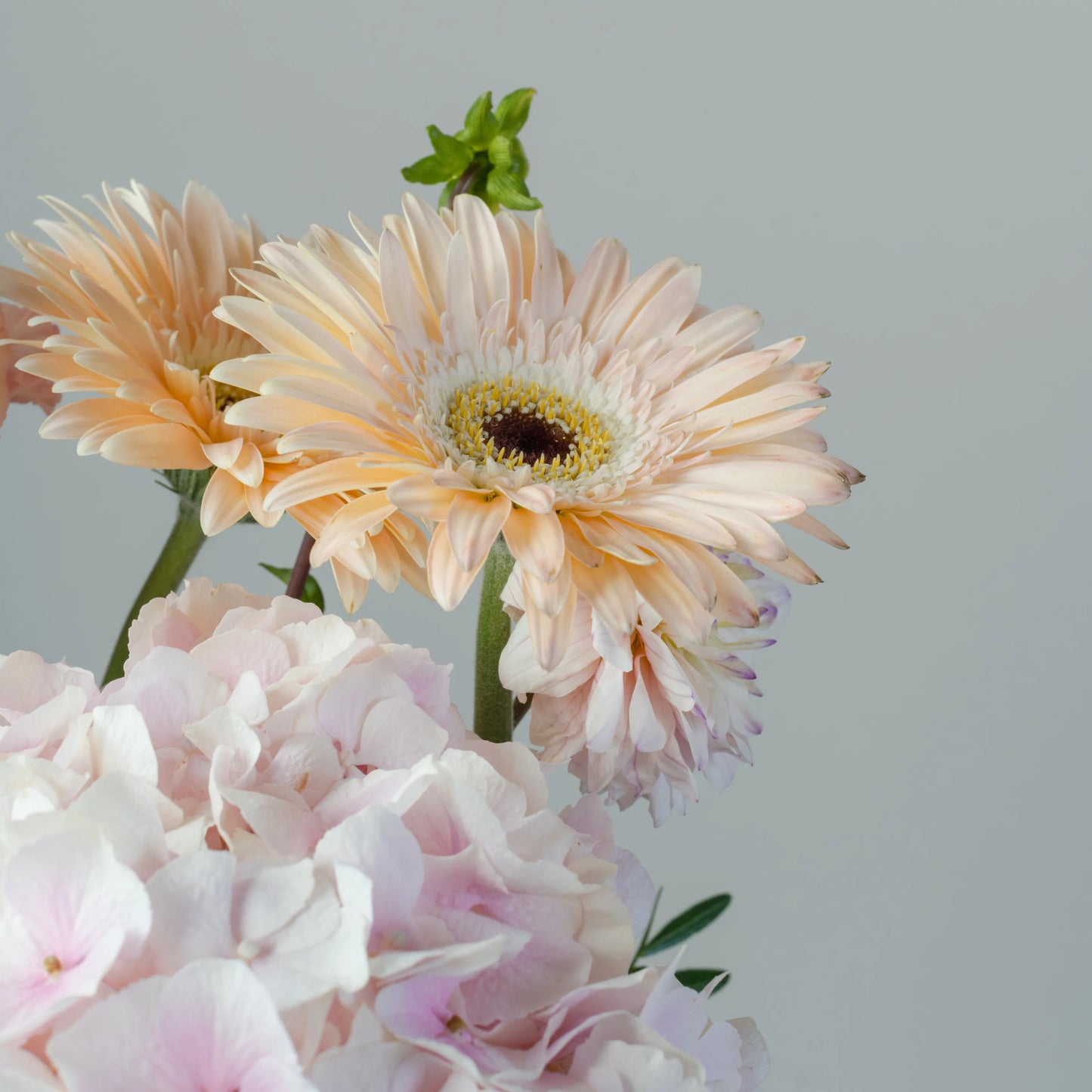 Ramo "Idílio do Jardim"