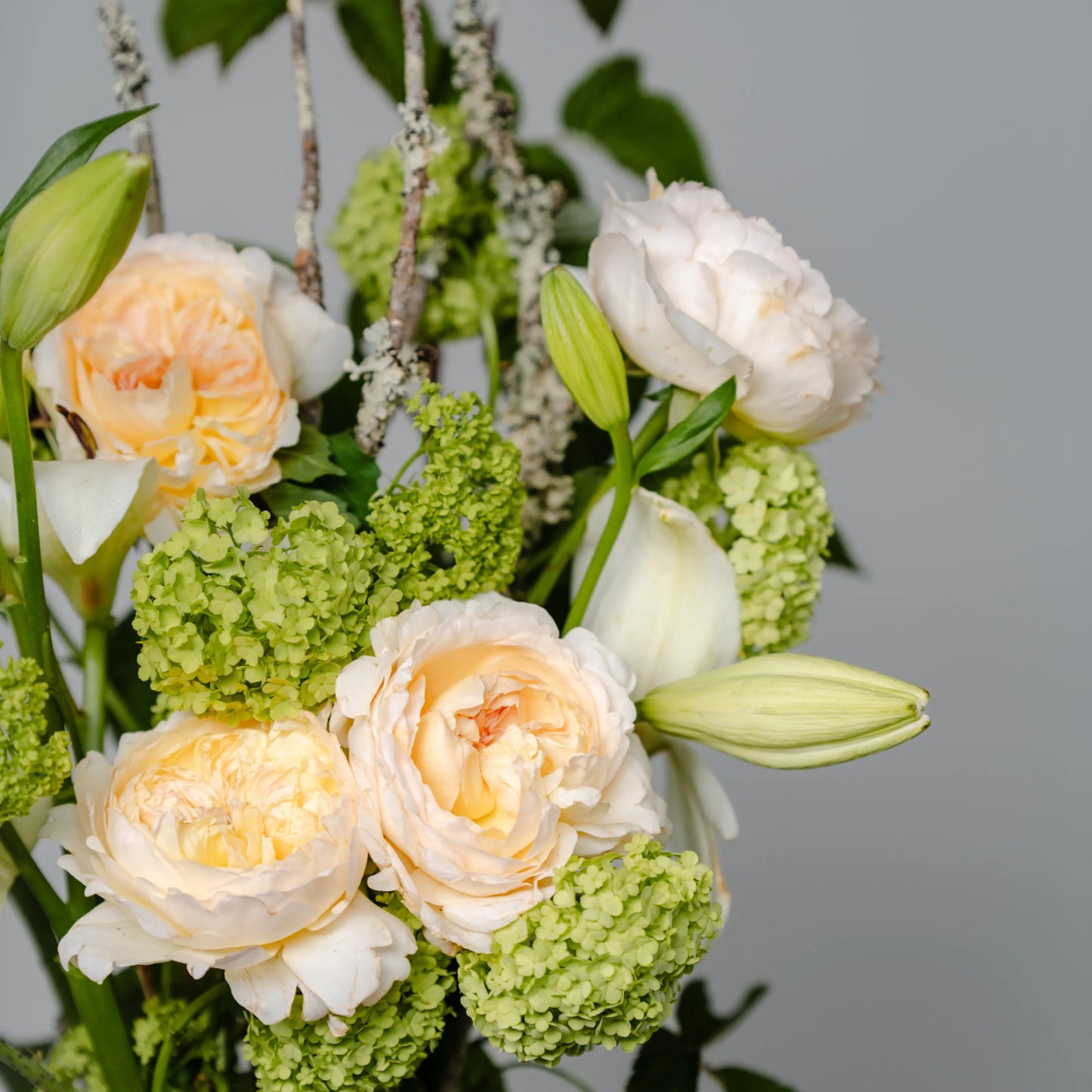 Ramo "Jardim Selvagem"