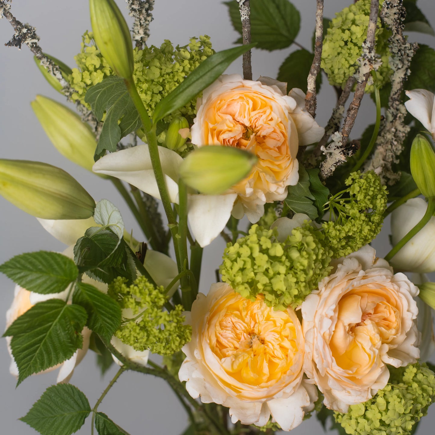 Ramo "Jardim Selvagem"