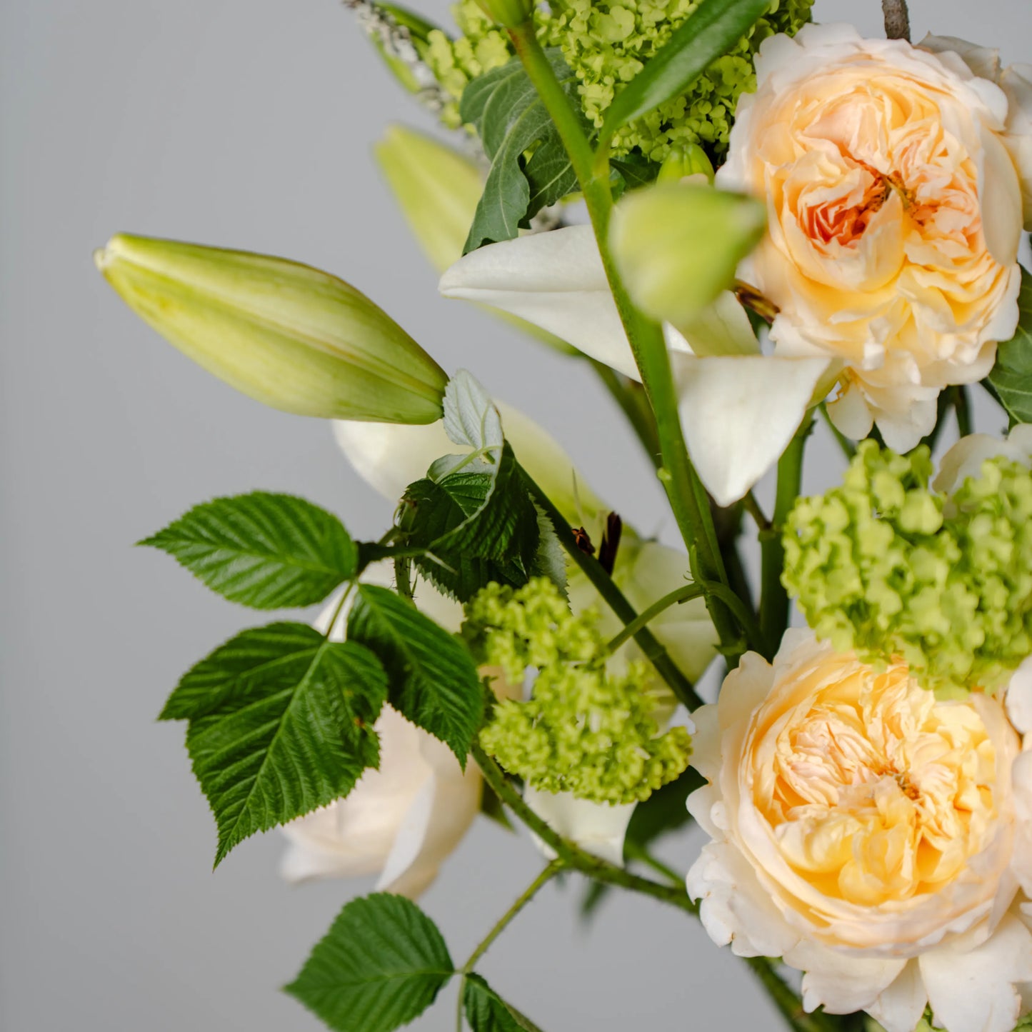 Ramo "Jardim Selvagem"