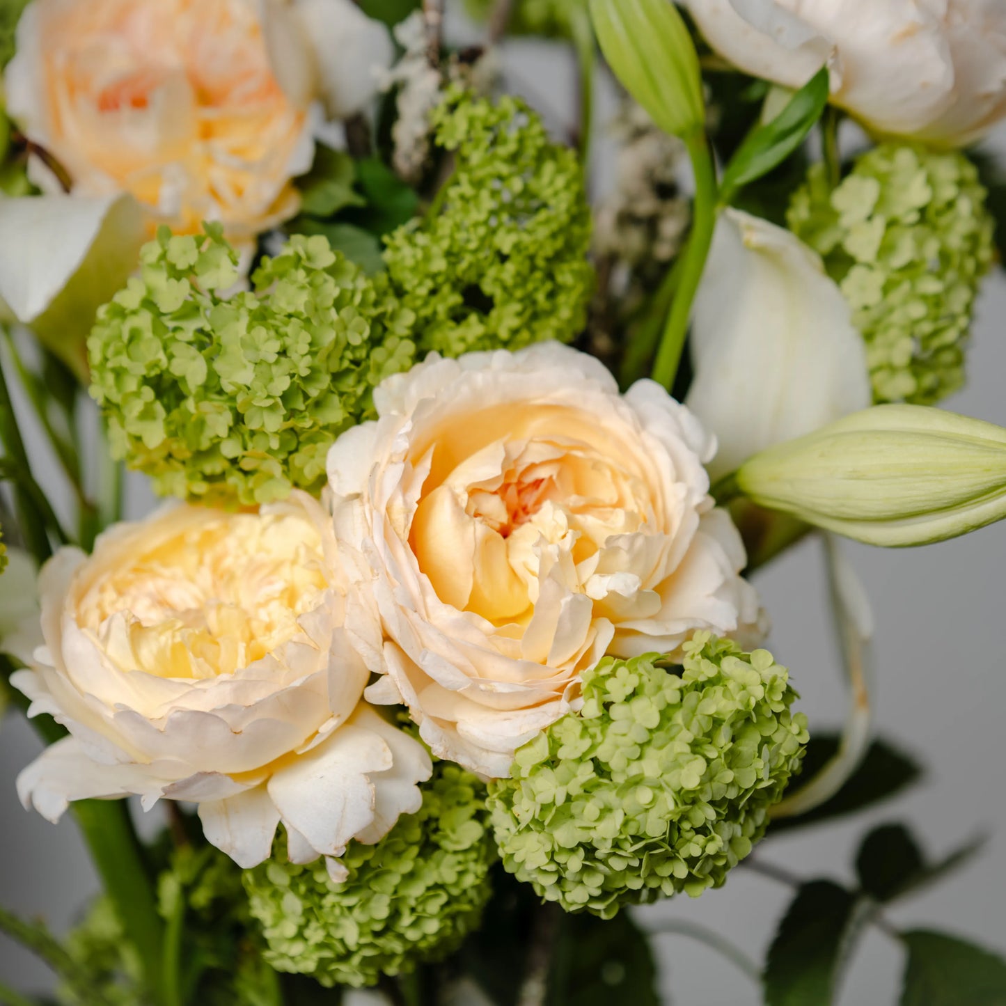 Ramo "Jardim Selvagem"