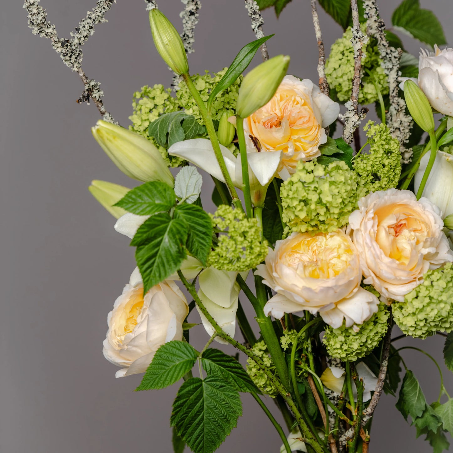 Ramo "Jardim Selvagem"