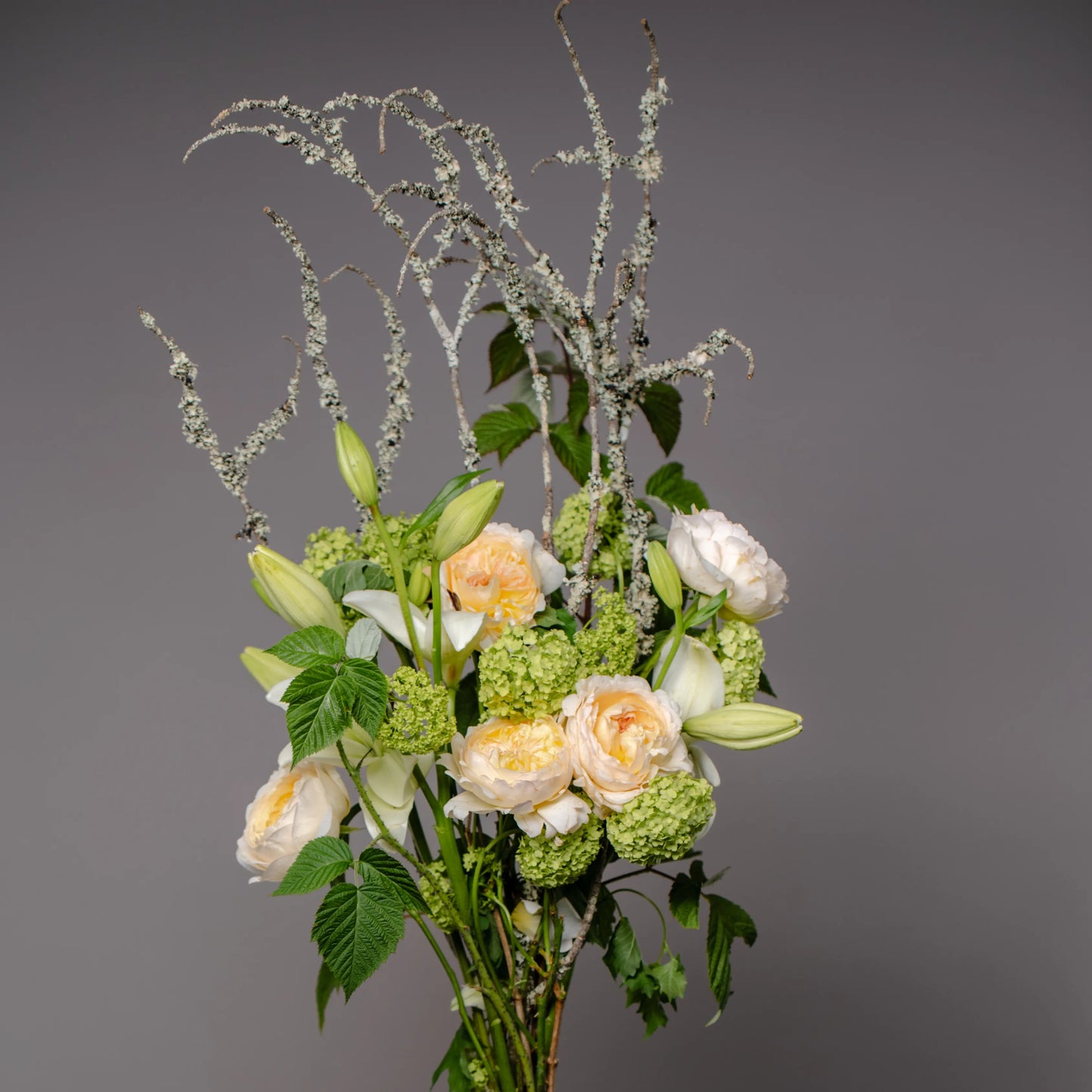 Ramo "Jardim Selvagem"