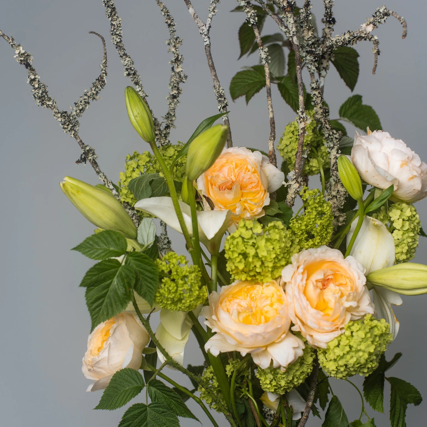 Ramo "Jardim Selvagem"