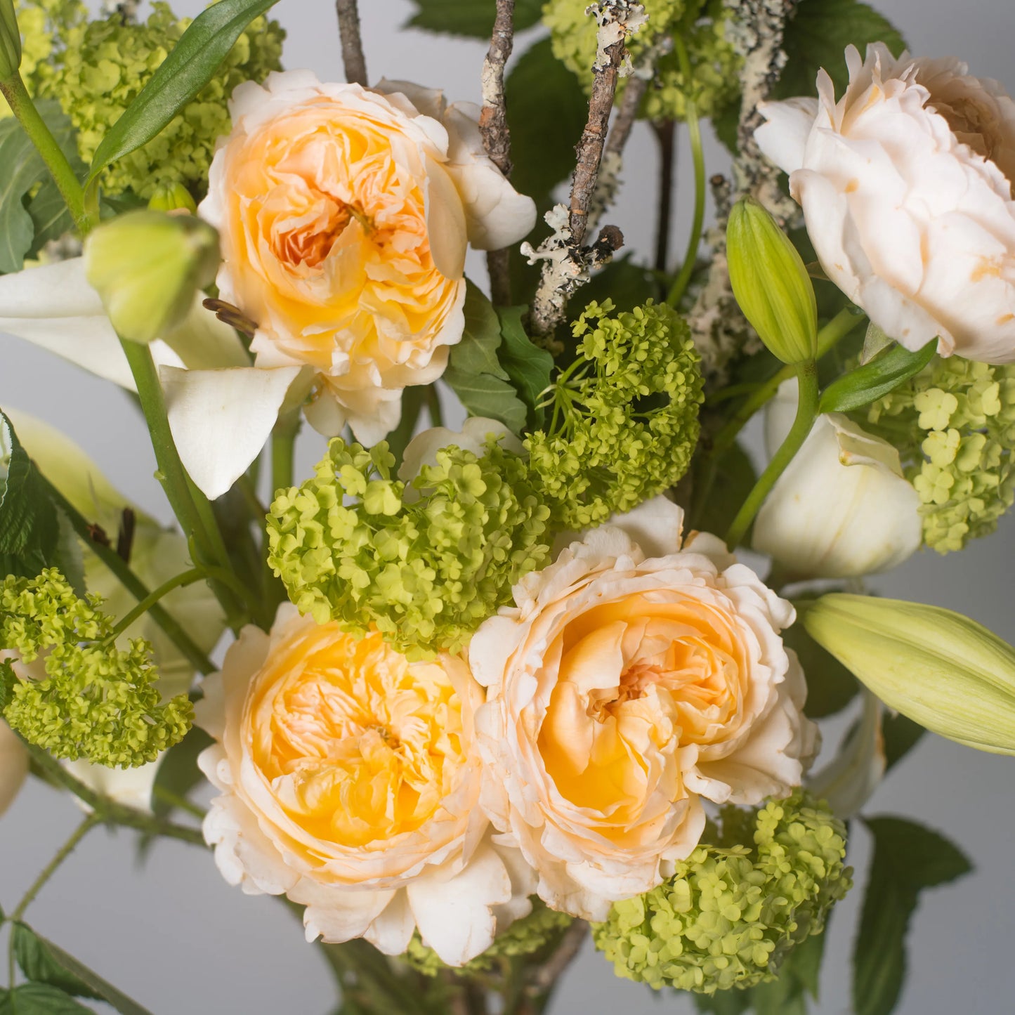 Ramo "Jardim Selvagem"