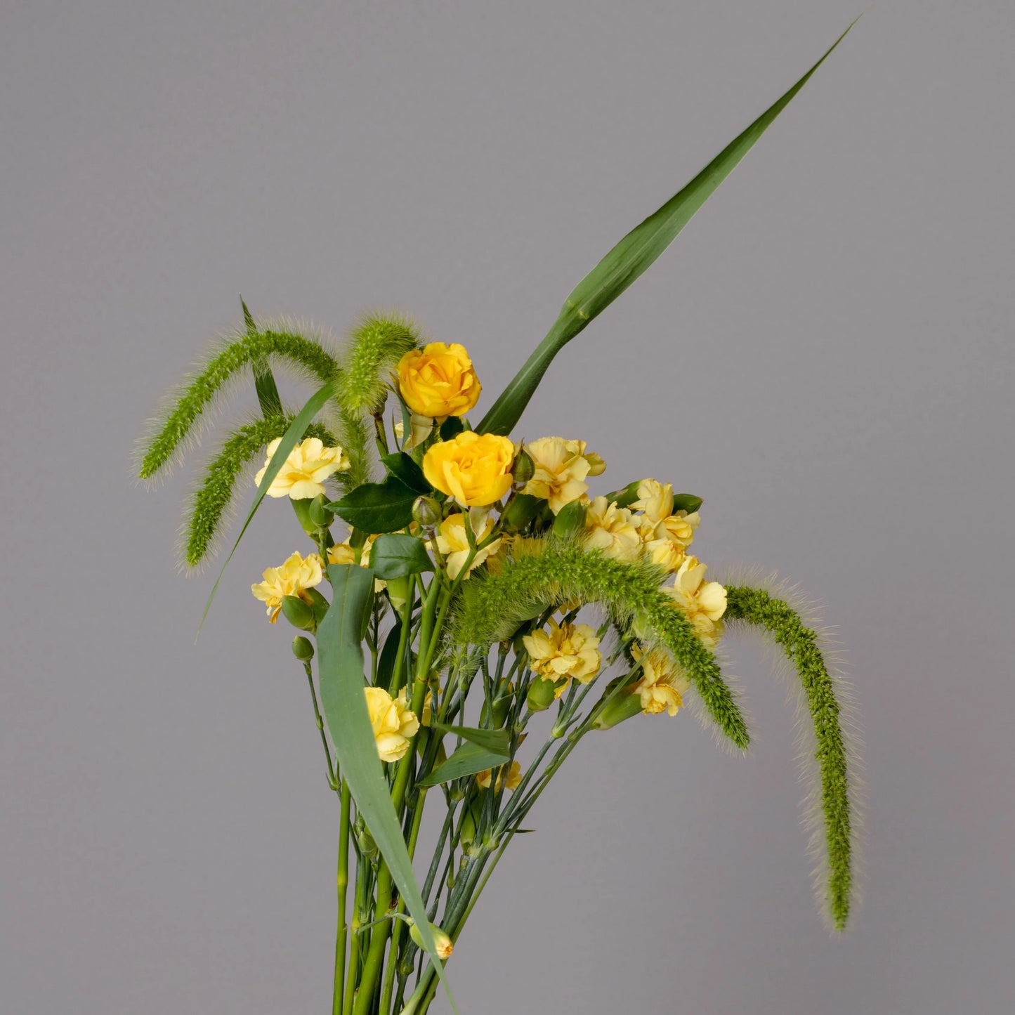 Ramo "Raios do Sol e Verdura"