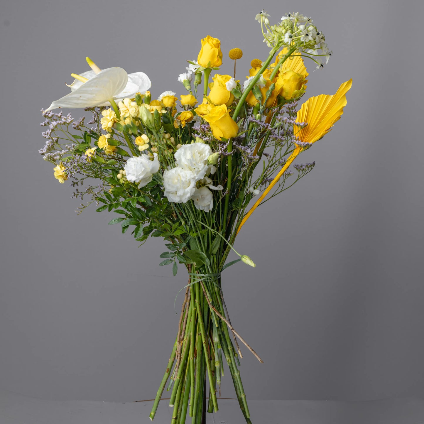 Ramo "Reflexos do Sol"