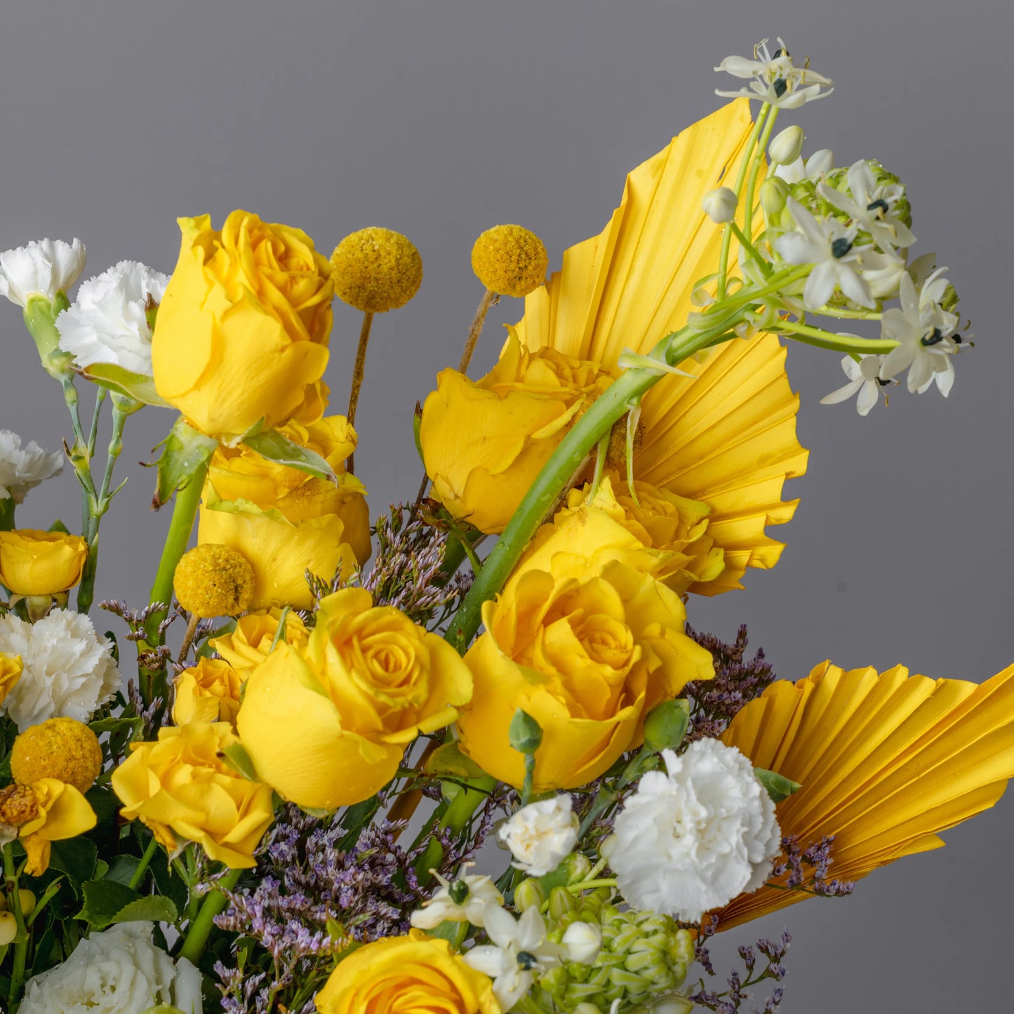 Ramo "Reflexos do Sol"