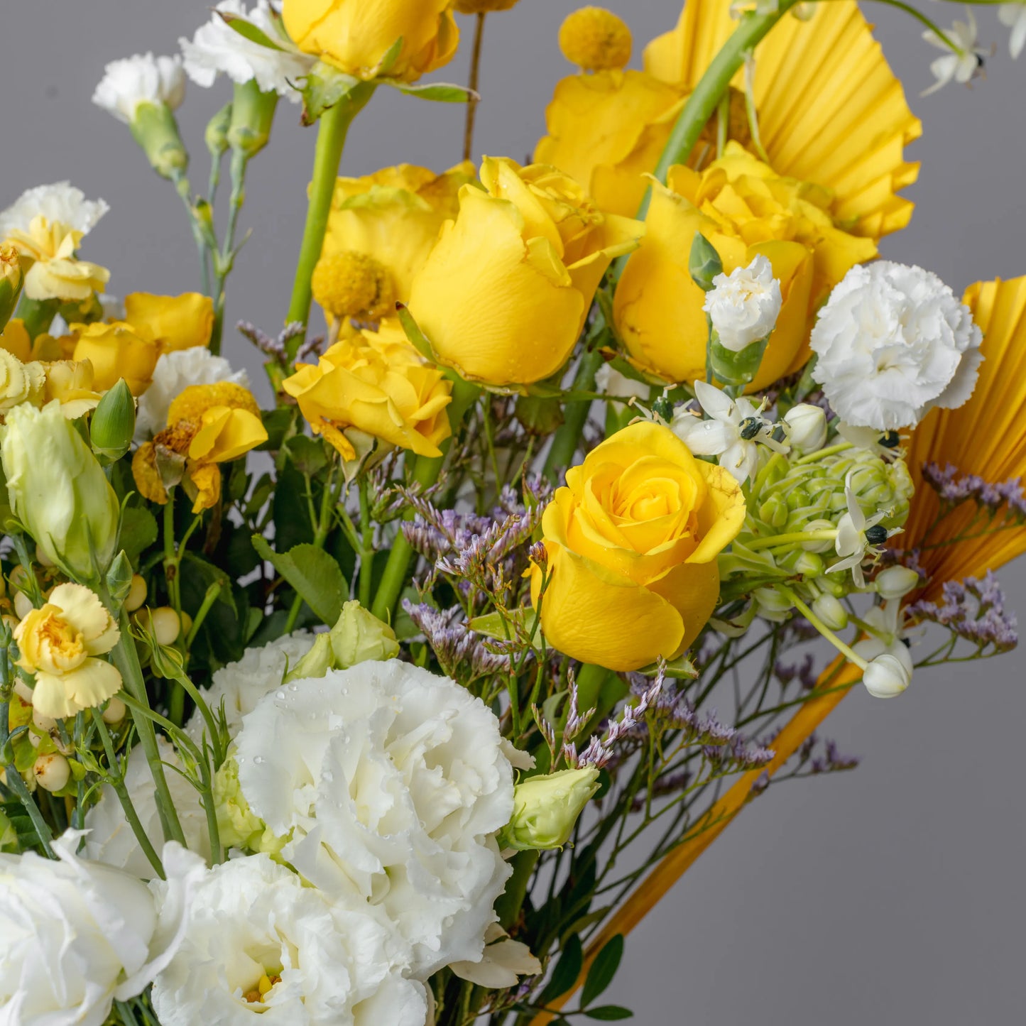 Ramo "Reflexos do Sol"