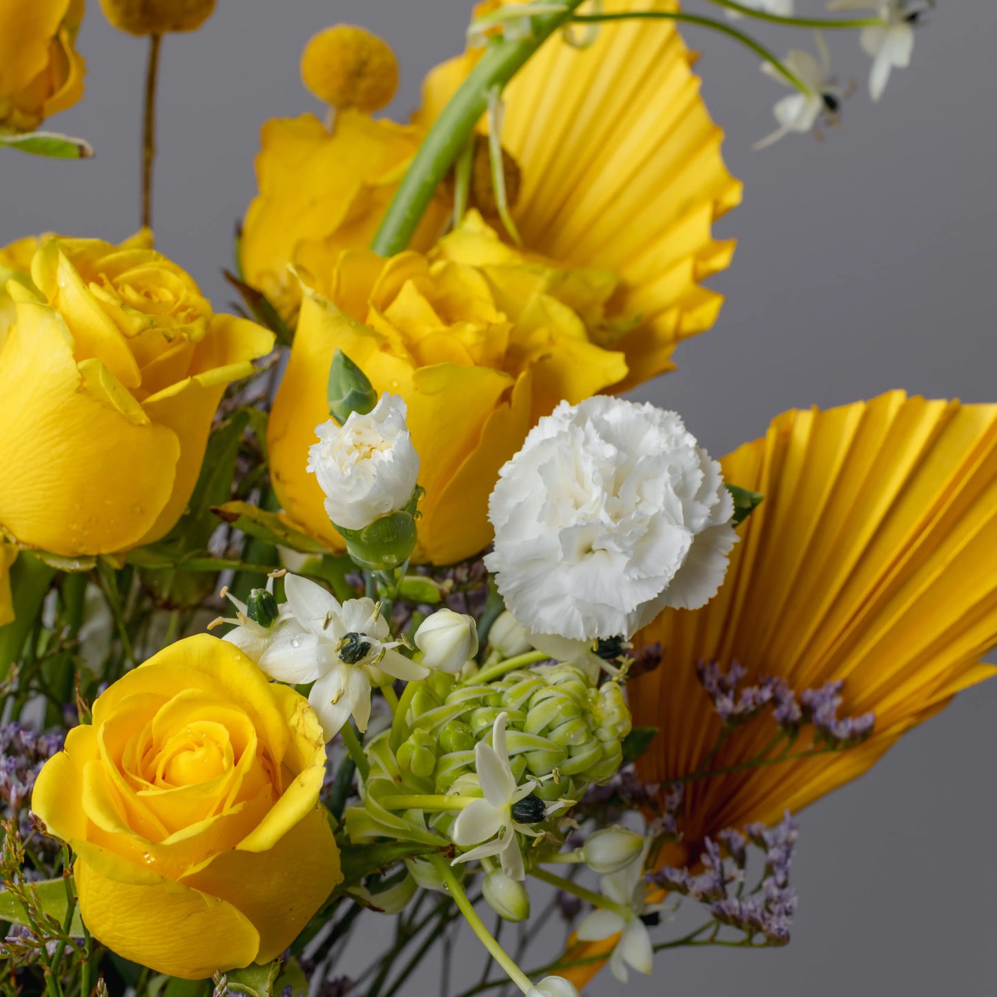 Ramo "Reflexos do Sol"