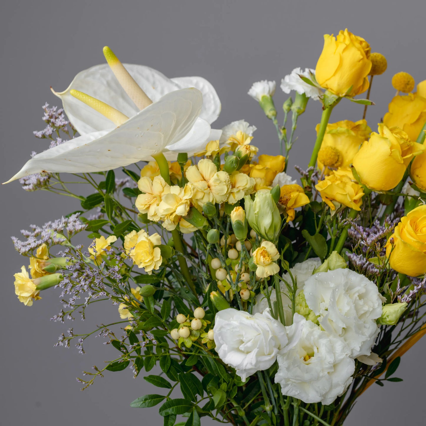 Ramo "Reflexos do Sol"