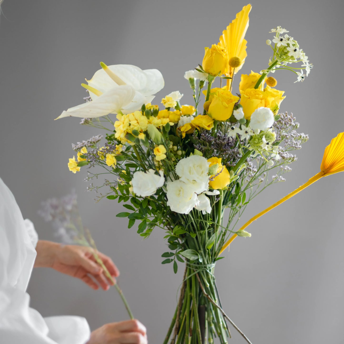 Ramo "Reflexos do Sol"