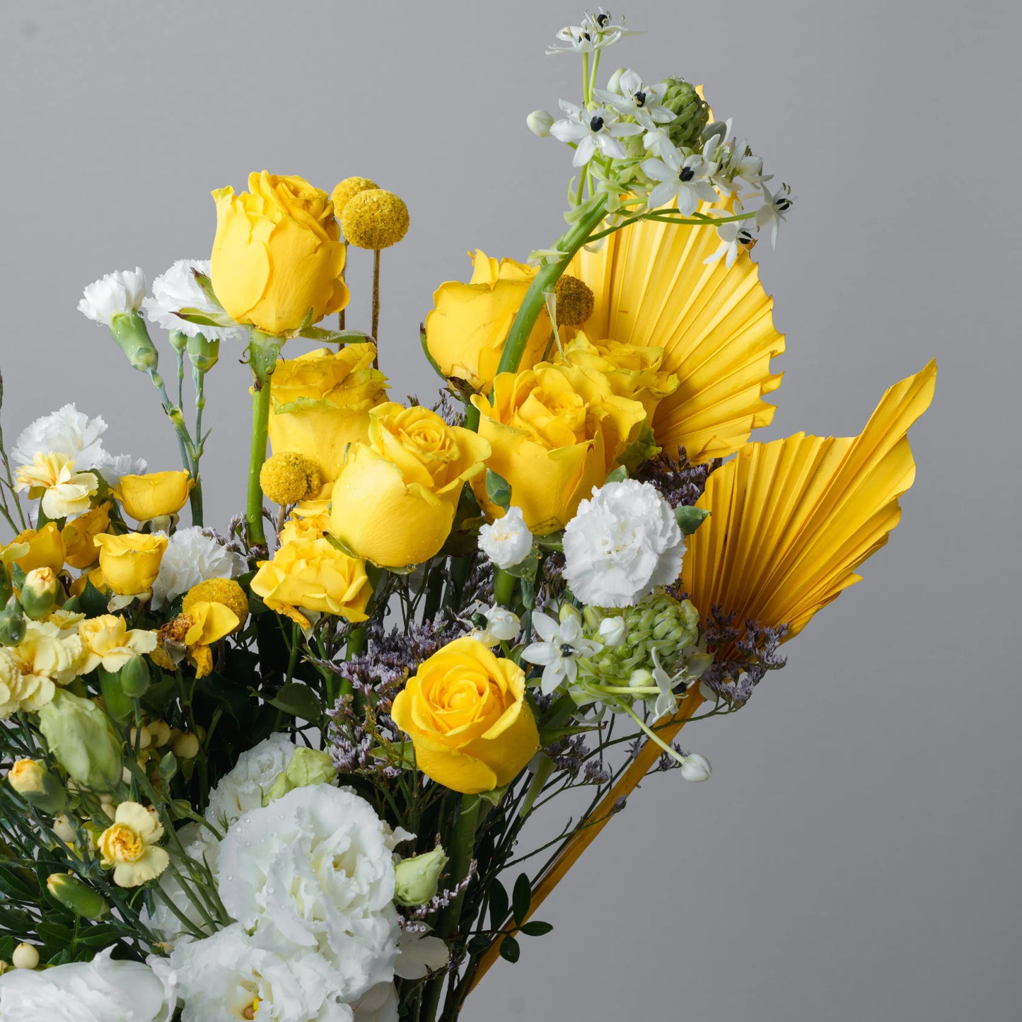 Ramo "Reflexos do Sol"