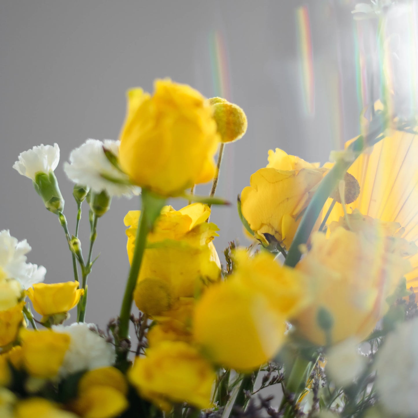 Ramo "Reflexos do Sol"