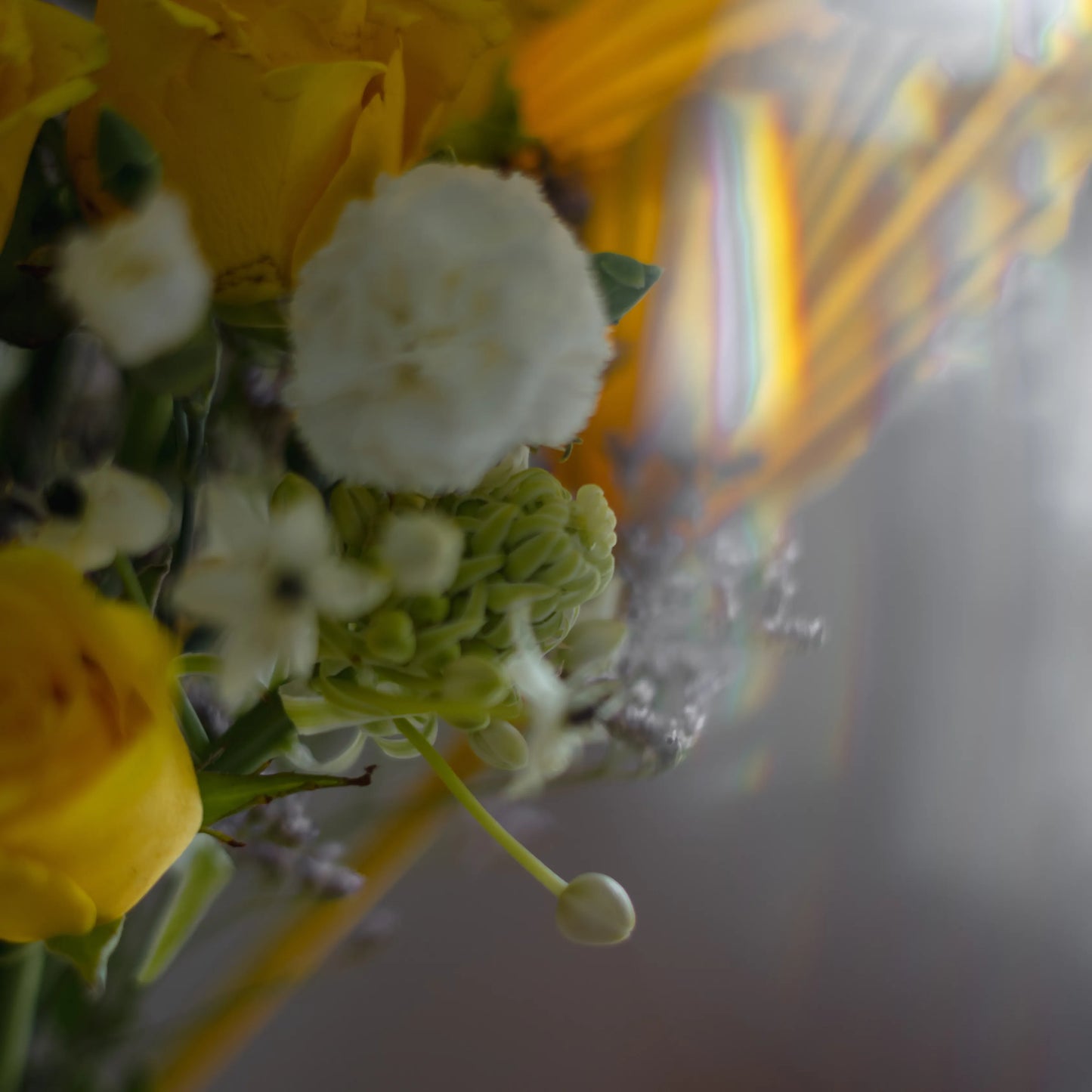 Ramo "Reflexos do Sol"