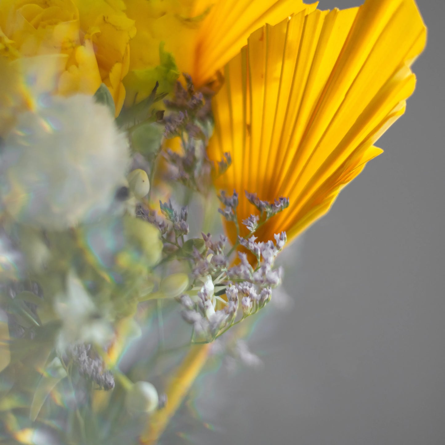 Ramo "Reflexos do Sol"