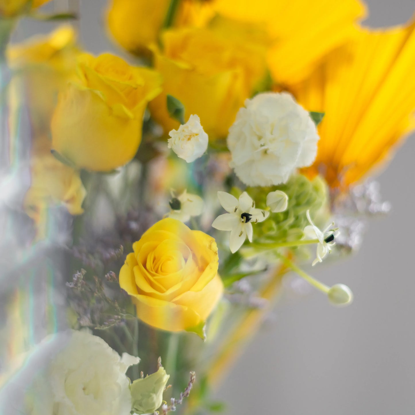 Ramo "Reflexos do Sol"