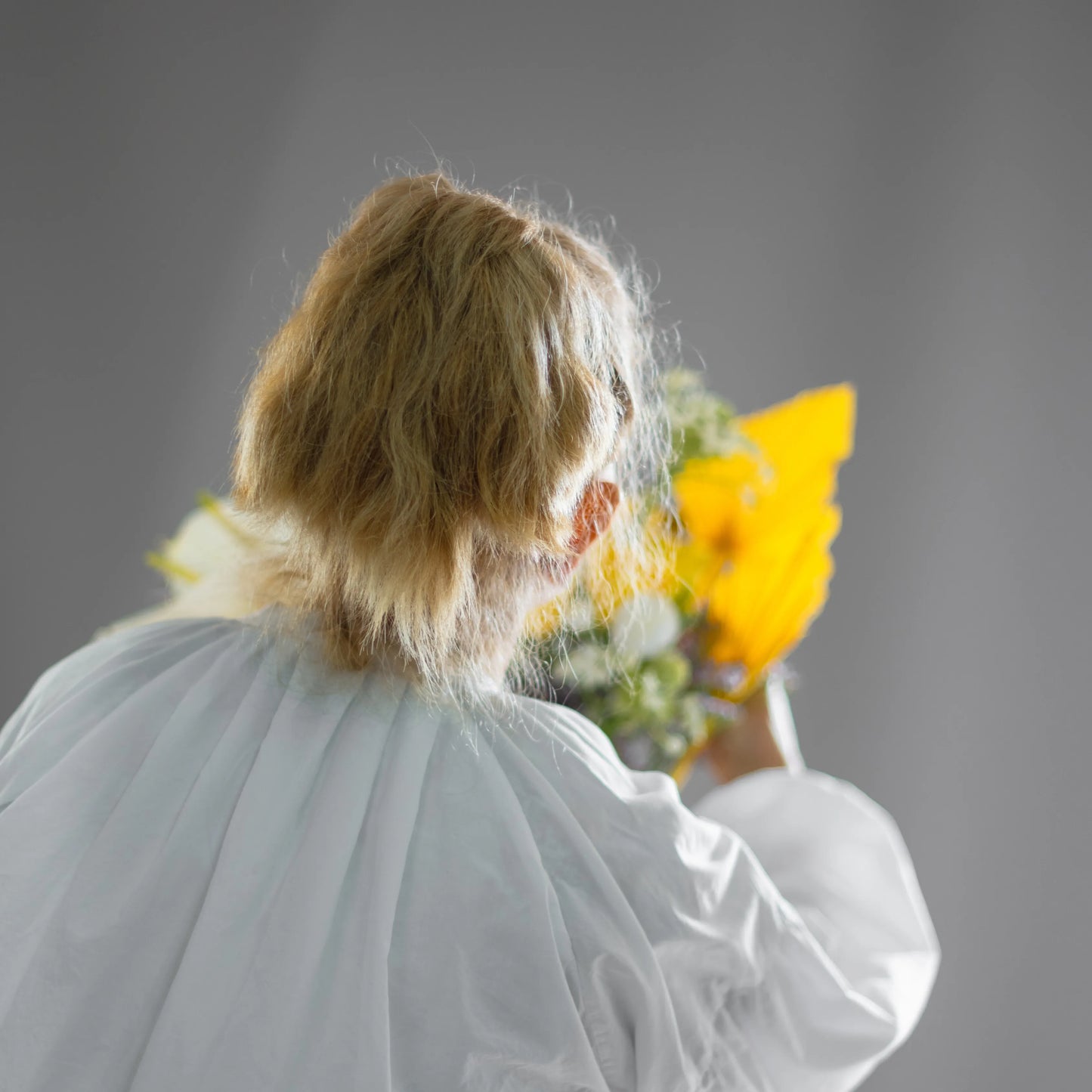 Ramo "Reflexos do Sol"