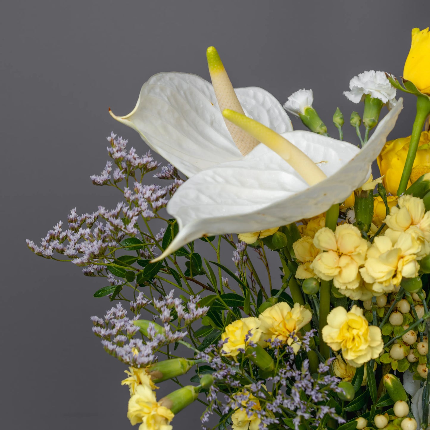 Ramo "Reflexos do Sol"