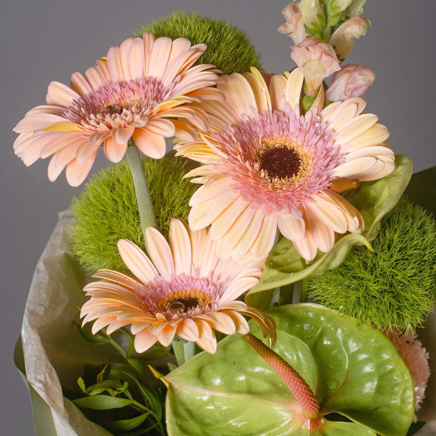 Ramo "Sinfonia de Cores"