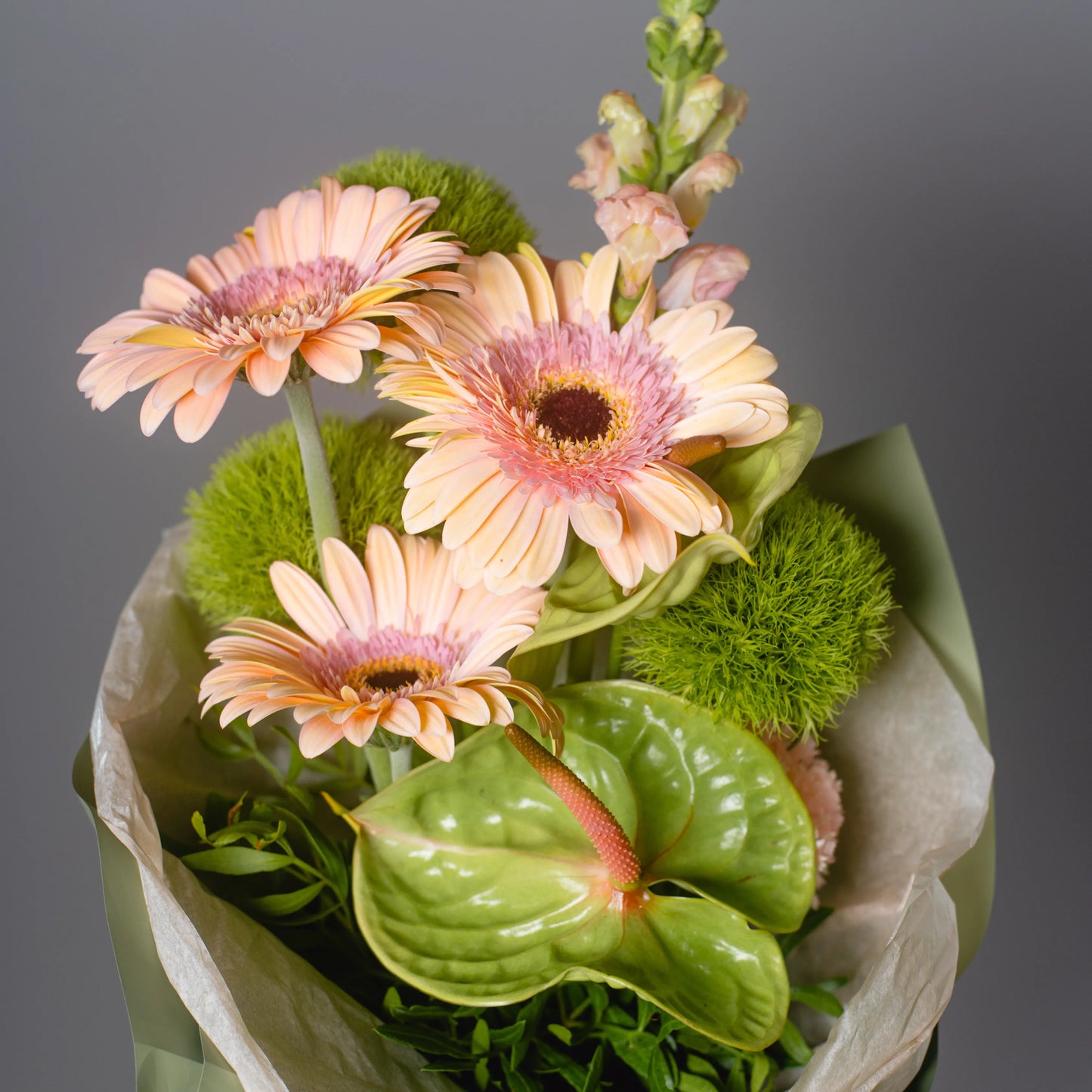 Ramo "Sinfonia de Cores"