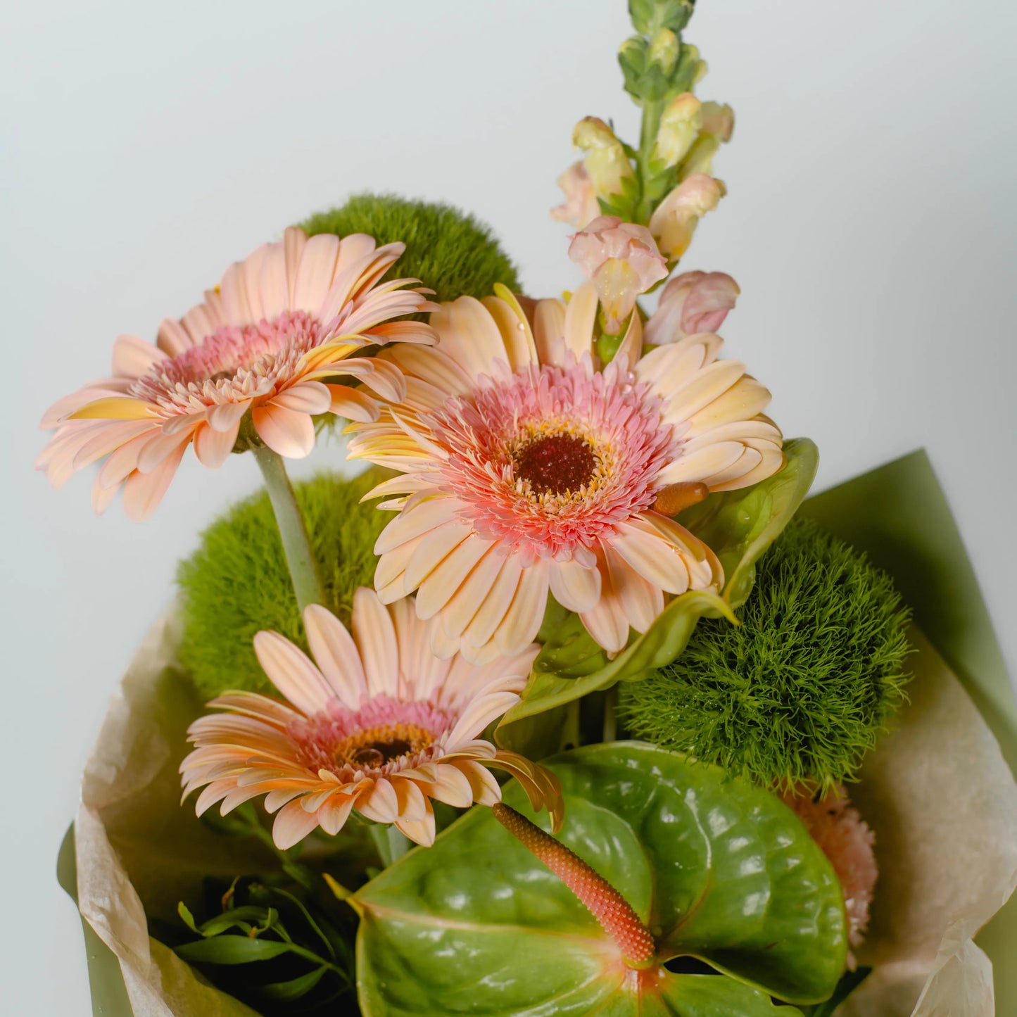 Ramo "Sinfonia de Cores"