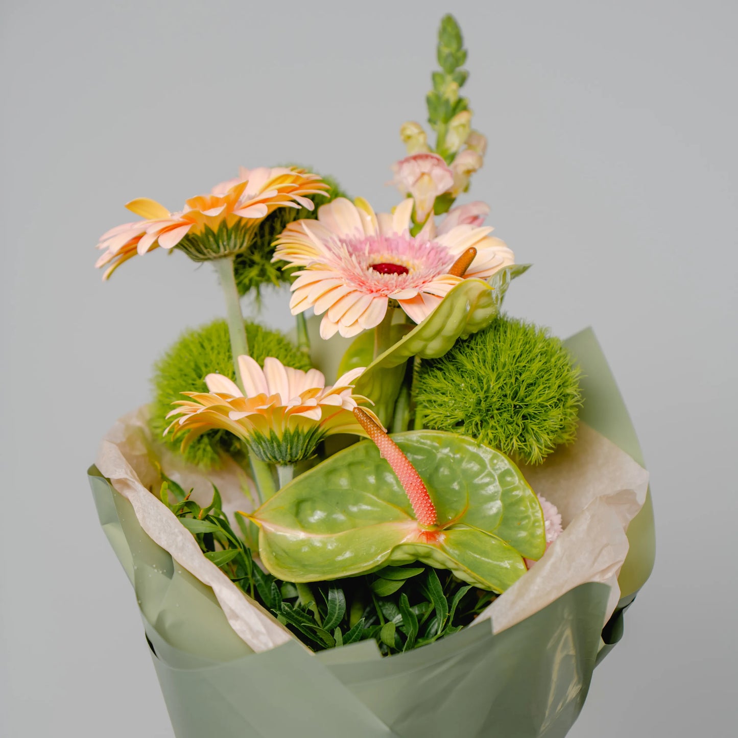 Ramo "Sinfonia de Cores"