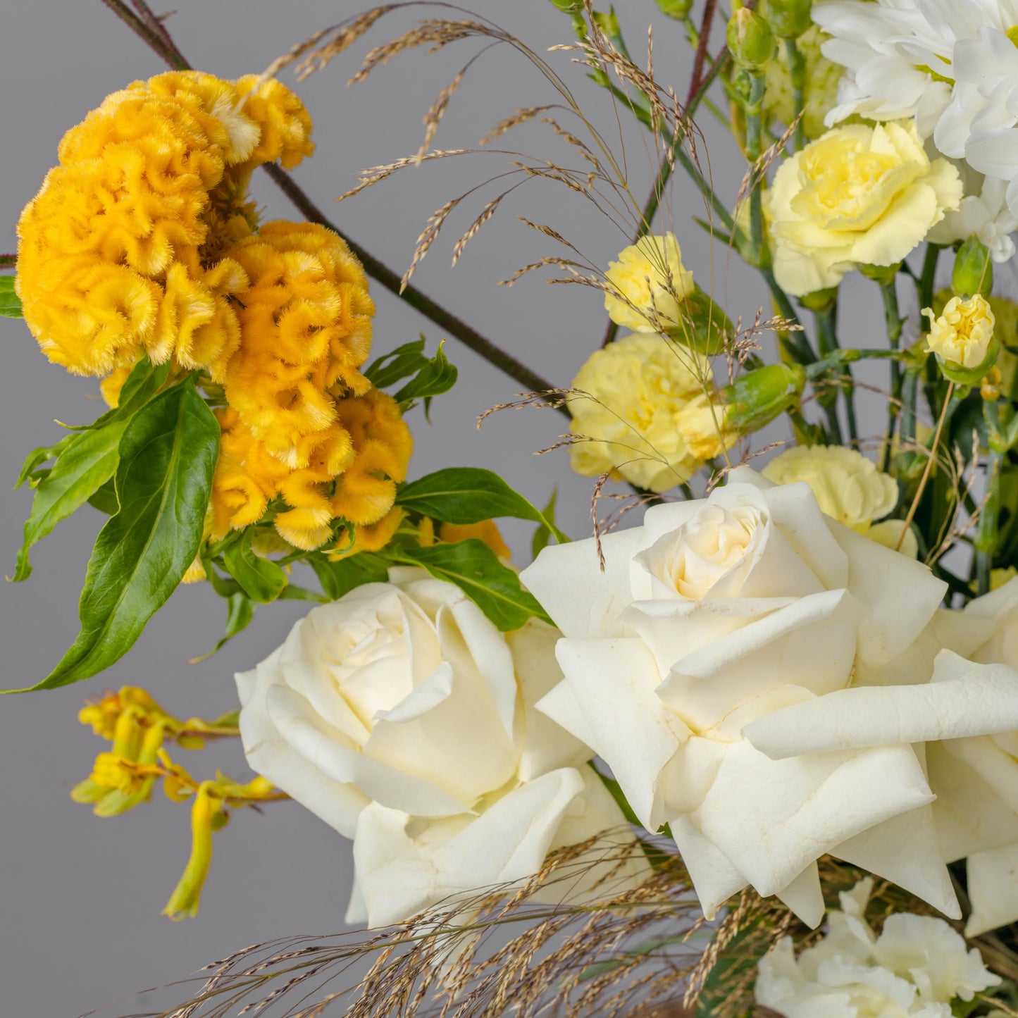 Ramo "Tristeza Tenra"