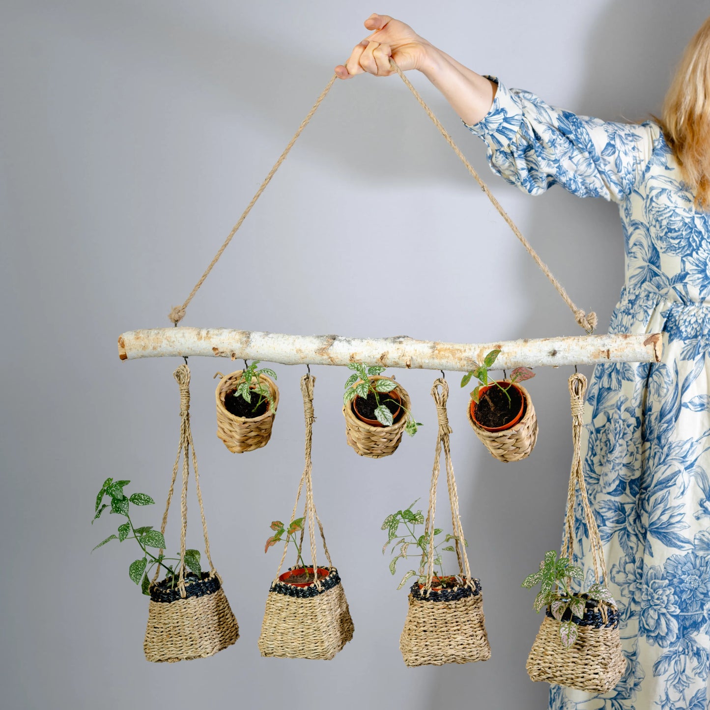 Tronco Bétula Para Plantas