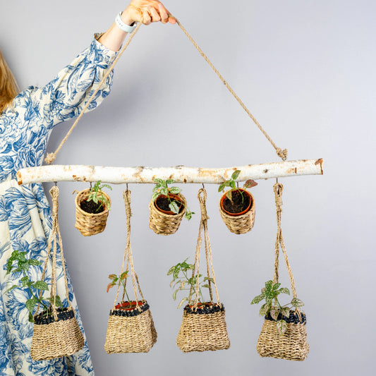 Tronco Bétula Para Plantas